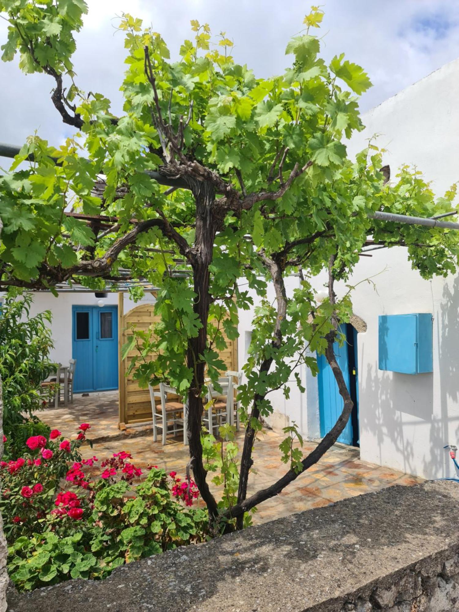 Kamaraki Aroniadika Kýthira Exterior foto